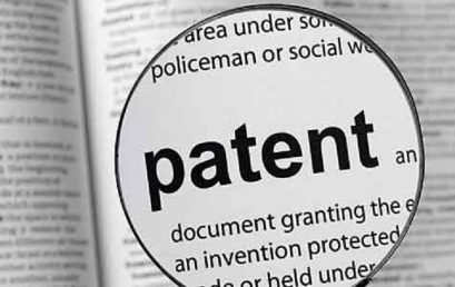 Ipn.md: FIA supports replacement of entrepreneurial patent with independent activity tool