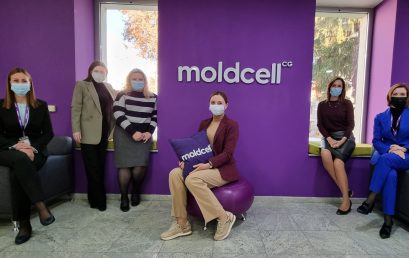 Individual Approach: Moldcell