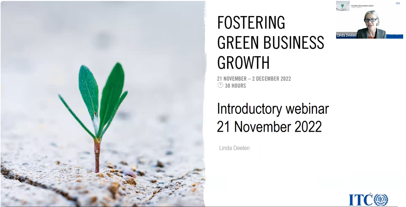 Fostering Green Business Growth Course At Ilo Itc Fia