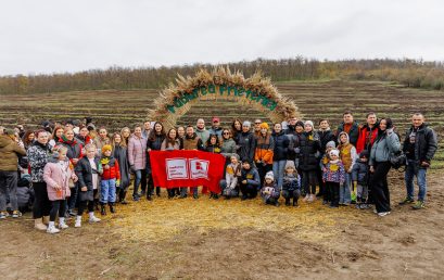 Friendship Forest – Kaufland Moldova