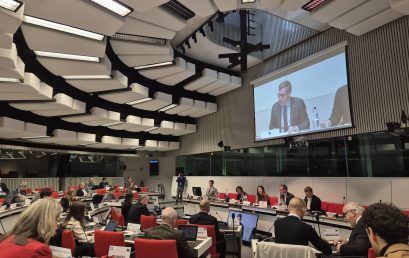 Statutory Meeting of the EESC Liaison Group