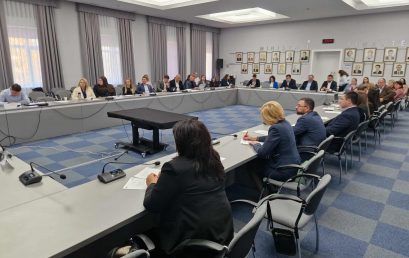 Meeting of the National Platform for Public Procurement Meeting of the National Platform for Public Procurement