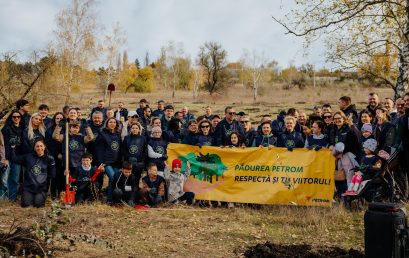 Reforestation Project / Petrom Moldova