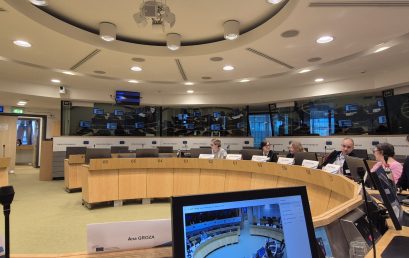 EESC Public Consultation on “Civil Society’s Role in Supporting Reform under the Growth Plans for the Western Balkans and Moldova, as well as in Ukraine’s Reform Path”