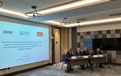 Roundtable “The Role of National Action Plans on Business and Human Rights”
