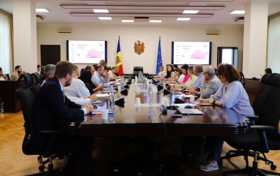 Meeting of WG 8 “iCouncil”