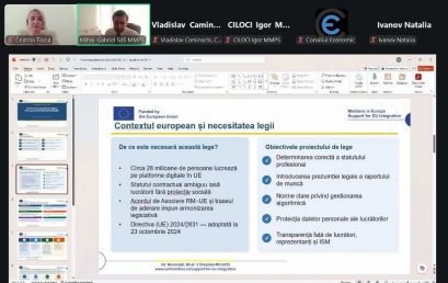 Meeting of Working Group No. 4, ConsEcom