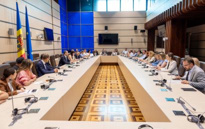 Consultations between Vasile Tofan, the Prime Minister-designate, and representatives of the business community
