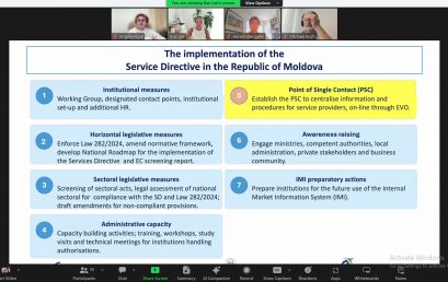 Meeting of the Interinstitutional WG on the implementation of Law No. 282/2024